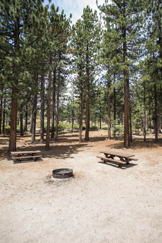 Boulder Group Campground - Angelus Oaks