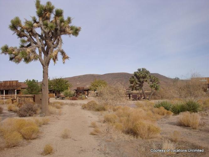 Desert Willow Ranch - Yucca Valley