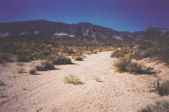 Many Springs Ranch - Lucerne Valley