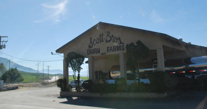 Scott Bors Dairy Farm - San Jacinto