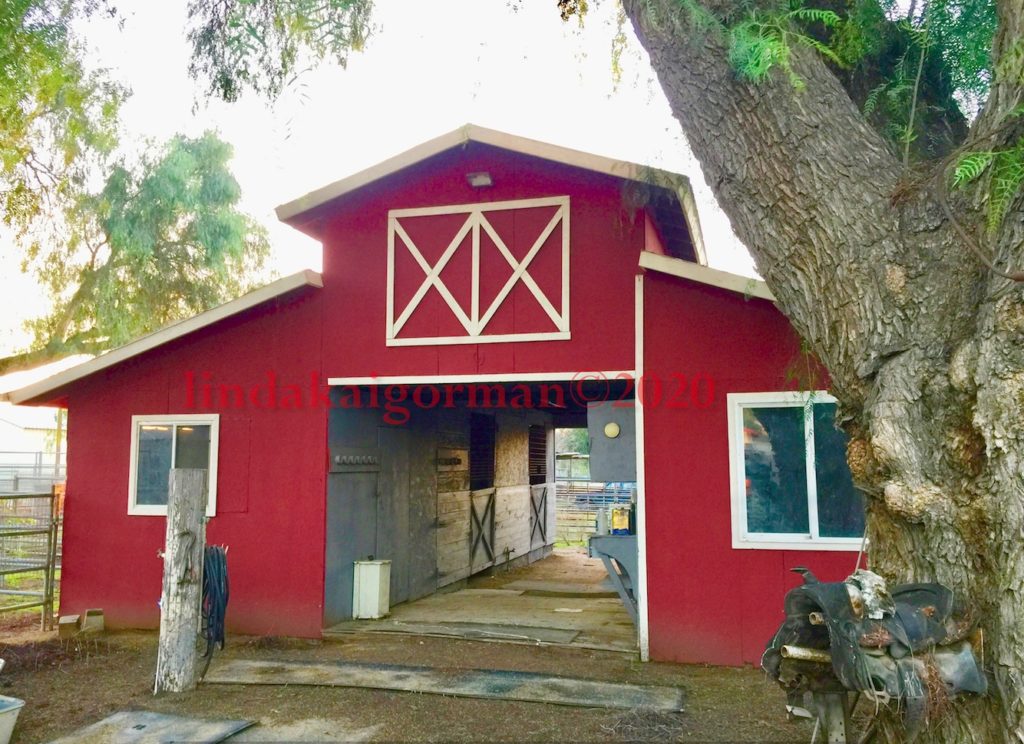 Red Barn Ranch   Norco