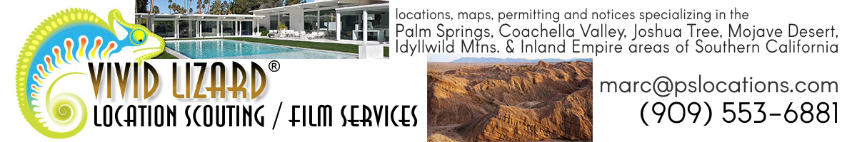 vivid lizard For IEFS Website Ad 2